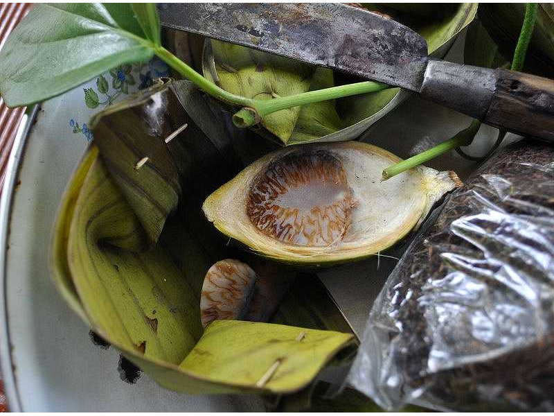 -sirih-pinang open-knife-tobacco